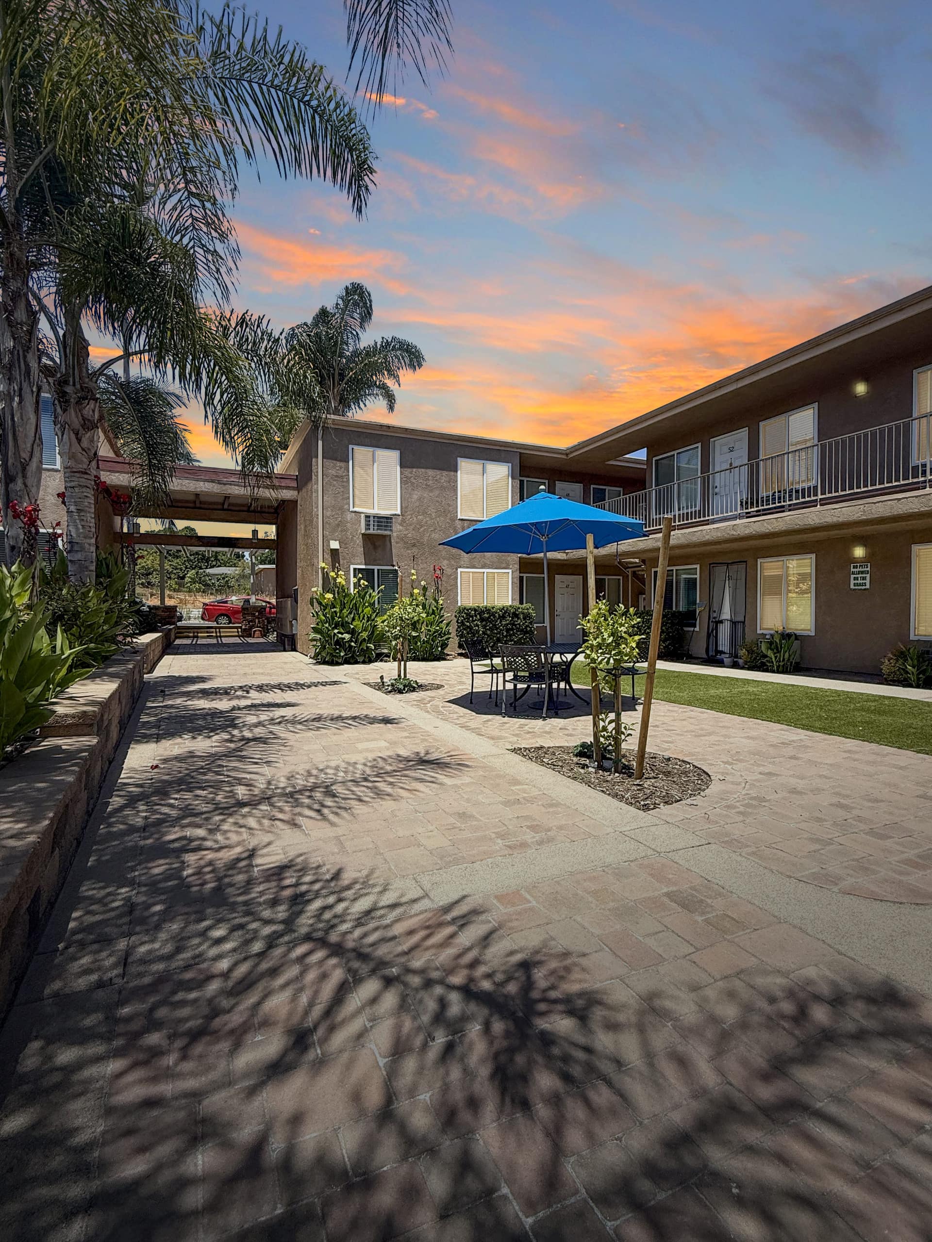 Secondary courtyard with palm trees