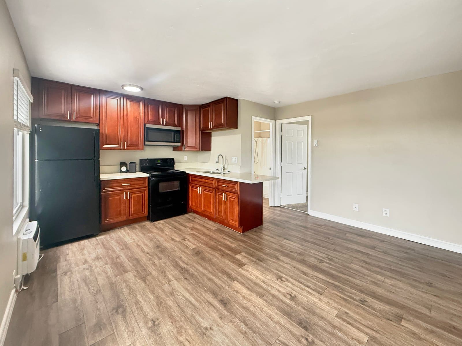 Open kitchen + living